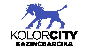 EGYÉB PARTNER: Kazincbarcika Város Önkormányzata